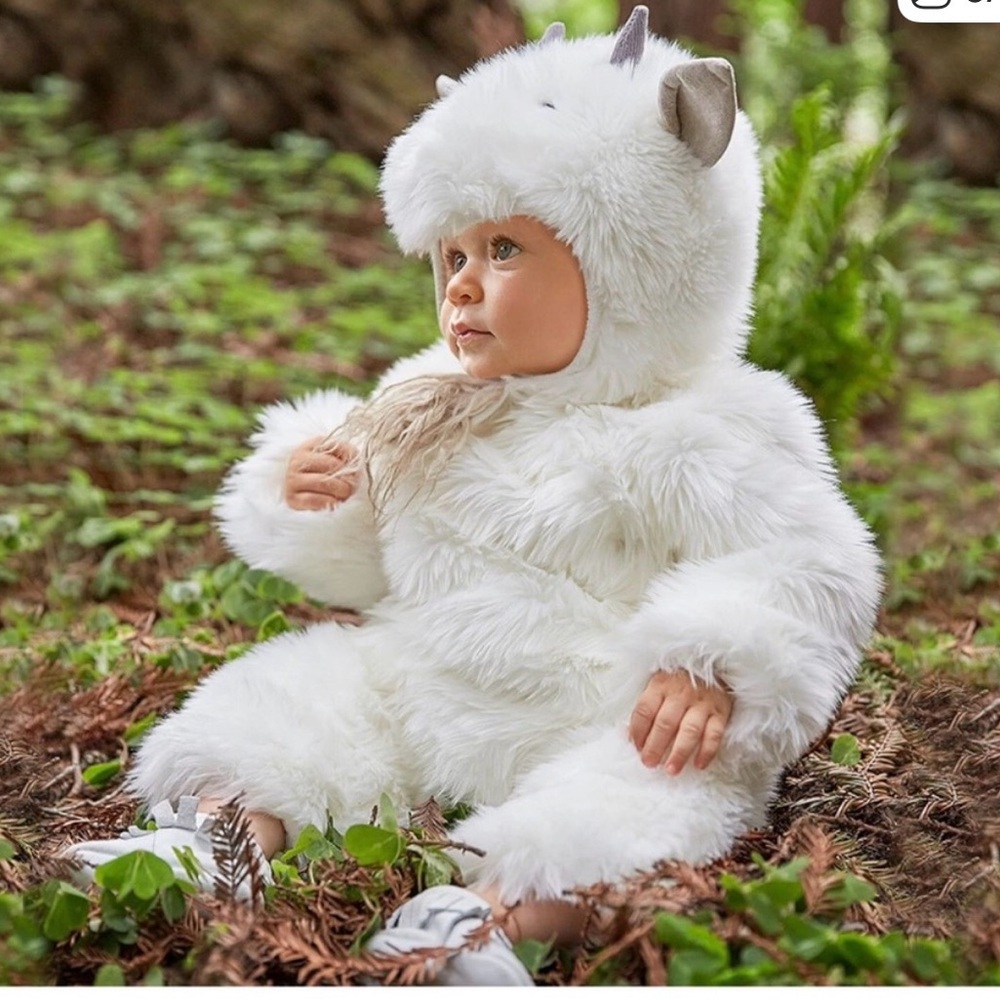 Pottery Barn Kids White Fuzzy Monster Costume